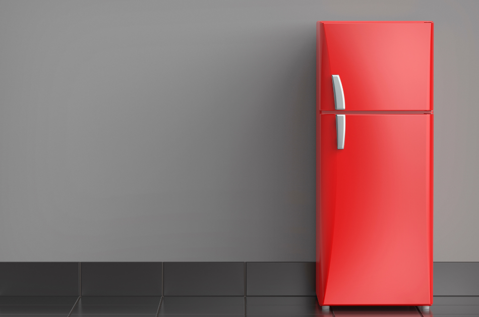 Başakşehir Buzdolabı Servisi